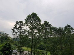 Eco Sanctuary (D23), Condominium #175095892